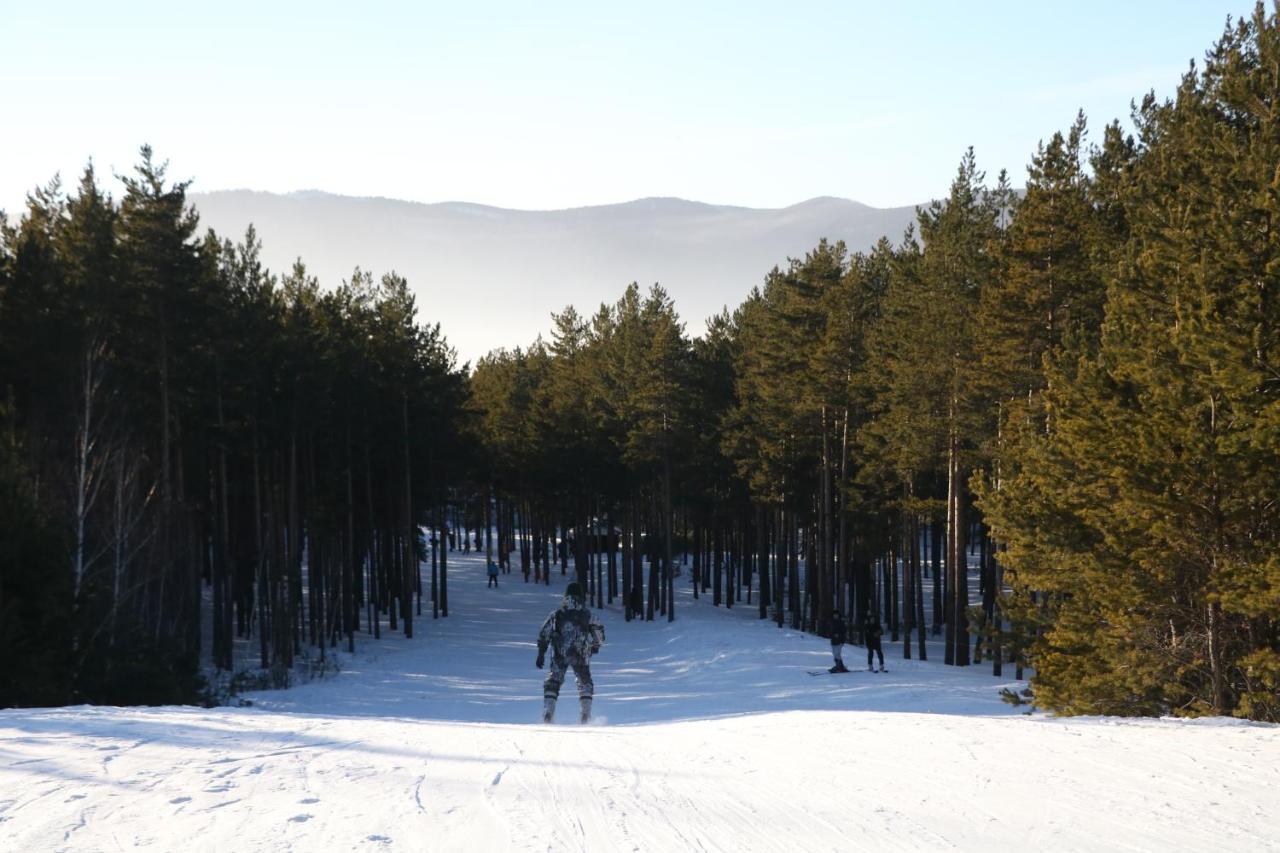 Orman Ski Shchuchinskiy エクステリア 写真